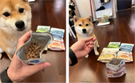 狗狗的饮食新选择：朗诺冻干狗粮