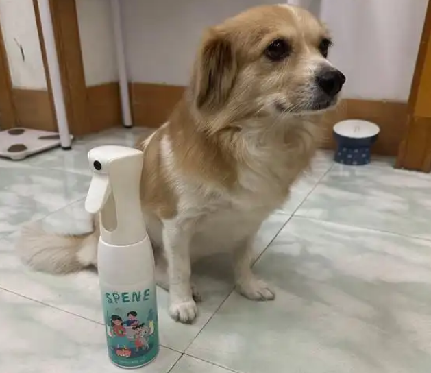 星帮尼狗狗除臭剂可以喷狗身上吗