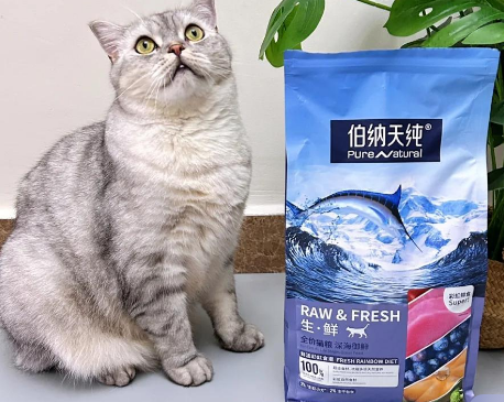 什么猫粮安全又好吃？猫粮排行榜Top10都在这