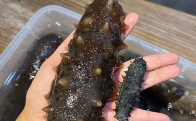 常年吃海参对身体有什么好处 常年吃海参对身体有什么好处