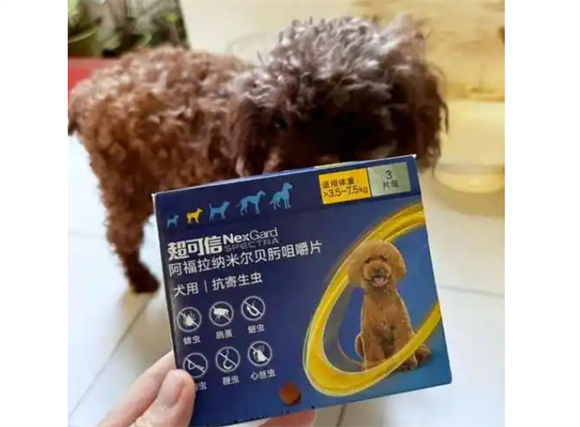 宠物狗多吃了一颗驱虫药要紧吗 宠物狗多吃了一颗驱虫药要紧吗