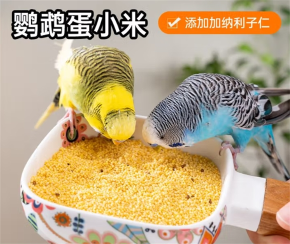 万百惠鹦鹉鸟食在哪里买 万百惠鹦鹉鸟食在哪里买