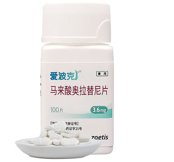 爱波克让狗狗远离皮肤烦恼 爱波克让狗狗远离皮肤烦恼