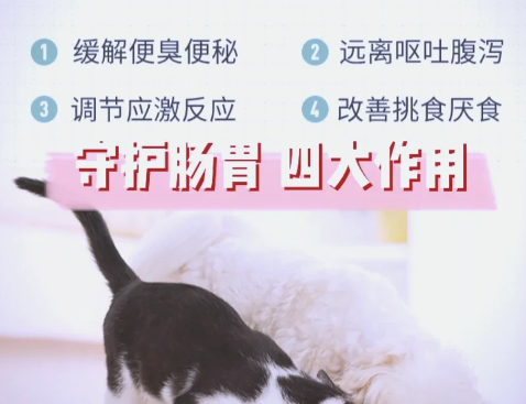 宠儿香益生菌：宠物健康必备平价好物