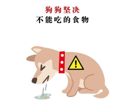 哪些食物狗狗不能吃