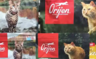 揭晓猫粮排行榜前十名口碑最好的猫粮！有你熟悉的吗？