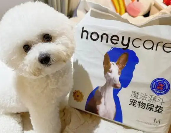 宠物尿垫买什么样的最好?好命天生尿垫怎么样? 宠物尿垫买什么样的最好?好命天生尿垫怎么样?