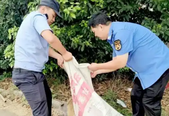 六安一疯犬伤人!当场击毙! 六安一疯犬伤人!当场击毙!