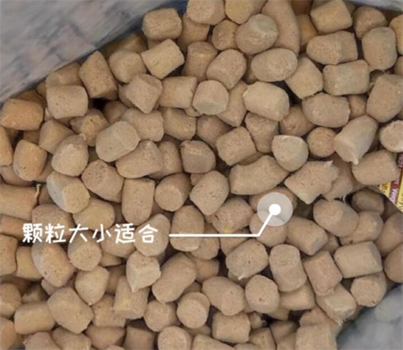 朗诺冻干猫粮怎么样？美味与营养兼备的理想选择