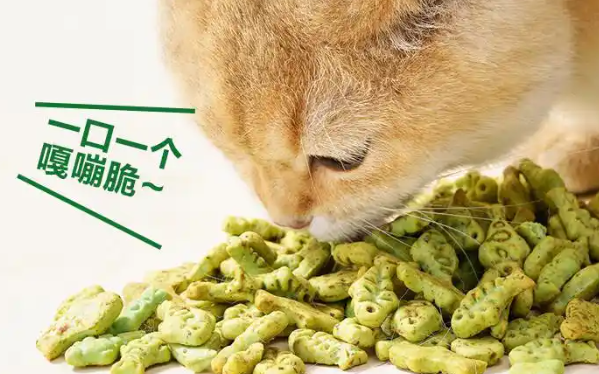 排名第一的猫零食大盘点，铲屎官必看！