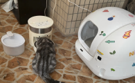 适合养猫新手的猫砂盆有哪些？小佩智能猫砂盆怎么样？