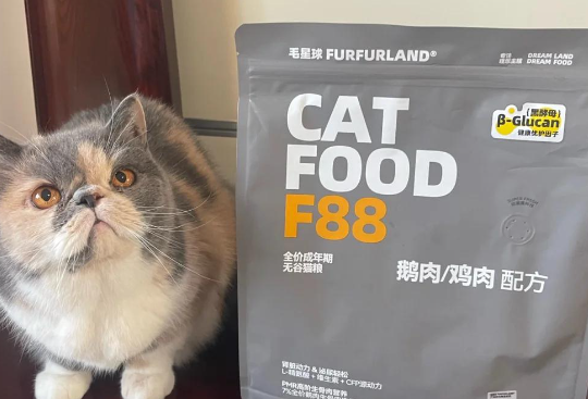 毛星球猫粮试吃：香气扑鼻，营养满满