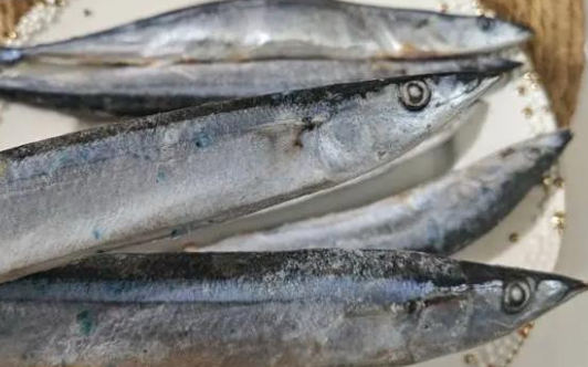 秋刀鱼的市场价格