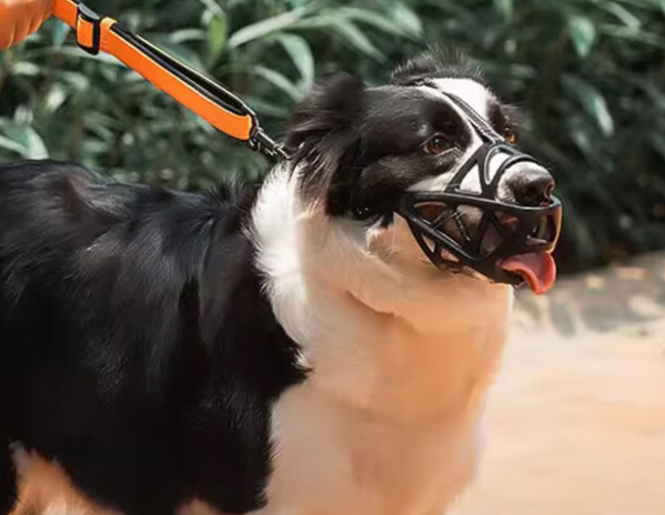 猎呐狗狗嘴套,安全出行的贴心伴侣 猎呐狗狗嘴套,安全出行的贴心伴侣