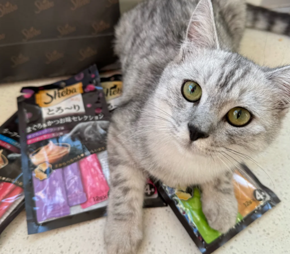 希宝猫零食怎么样?希宝猫粮属于什么档次的? 希宝猫零食怎么样?希宝猫粮属于什么档次的?
