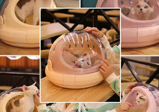 毛茸茸经济是怎么回事——关于中国宠物经济的研究 毛茸茸经济是怎么回事——关于中国宠物经济的研究