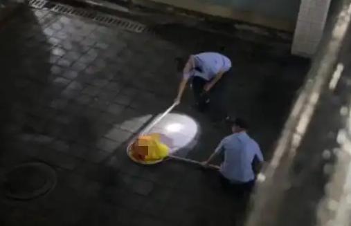 学校保安当学生面打死流浪猫?北理工回应:保安处置不当,已停职调离 学校保安当学生面打死流浪猫?北理工回应:保安处置不当,已停职调离