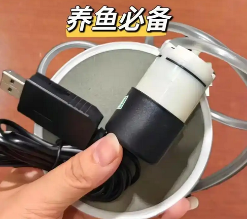 宠街坊鱼缸增氧泵放在鱼缸里哪个位置好 宠街坊鱼缸增氧泵放在鱼缸里哪个位置好