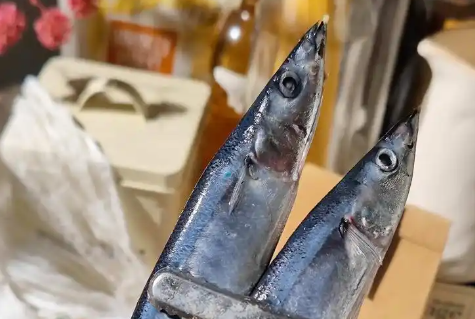 小孩能吃秋刀鱼吗 小孩能吃秋刀鱼吗