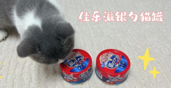 佳乐滋银勺猫罐头:猫咪的最爱 佳乐滋银勺猫罐头:猫咪的最爱