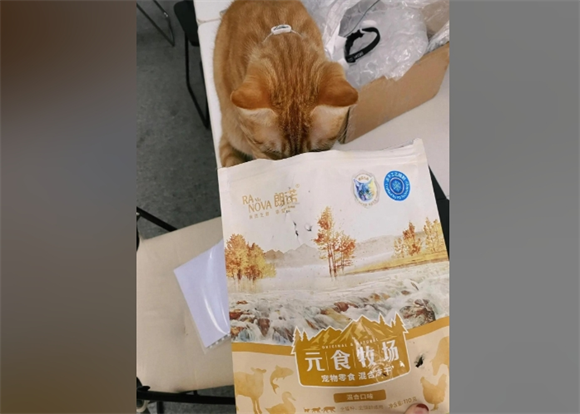 猫咪新宠：朗诺元食牧场冻干大揭秘！