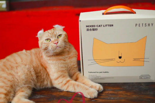 了解十大最建议买的猫砂,猫咪舒适你省心 了解十大最建议买的猫砂,猫咪舒适你省心