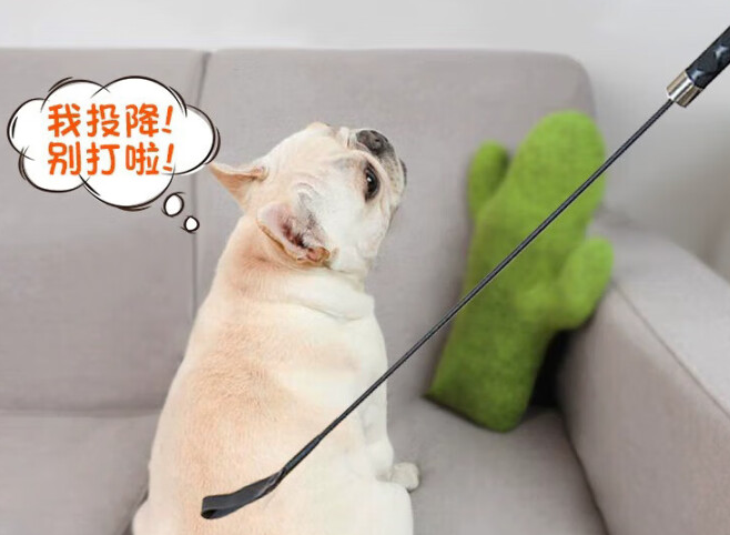 卡瓦图训狗棒打狗会打出内伤吗