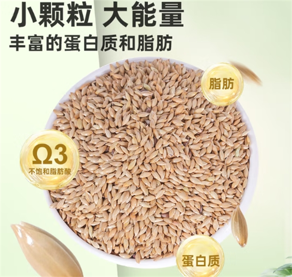 佐之寻鹦鹉粮在哪里买