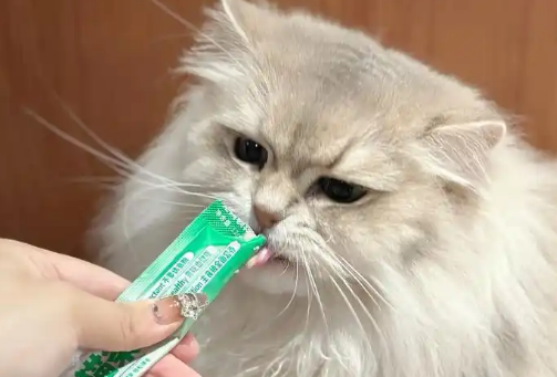 康康先生猫条产地是哪里 康康先生猫条产地是哪里