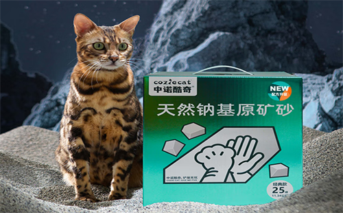 中诺酷奇