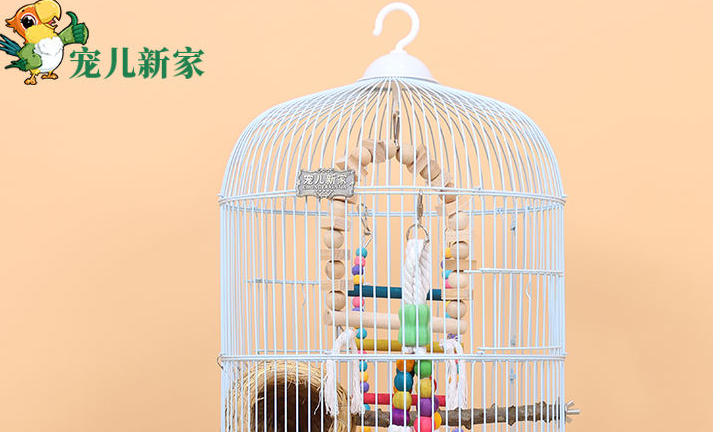 宠儿新家鸟笼为什么受欢迎？主要因为这几点优势