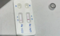 PLKWT细小试纸c代表什么