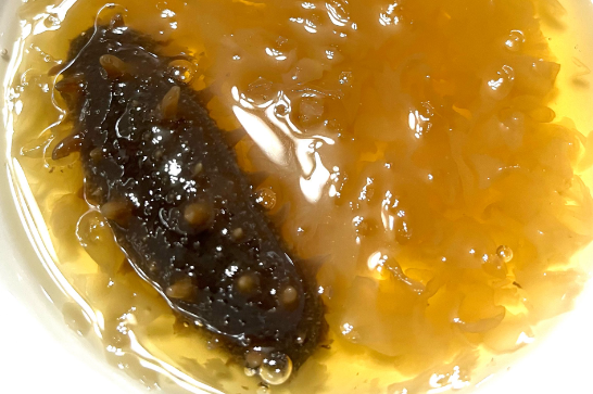 海参多肽的功能是怎么的
