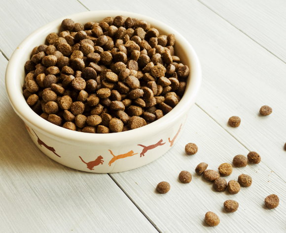 猫主子都看过来~口碑最好的十大猫粮是这些! 猫主子都看过来~口碑最好的十大猫粮是这些!