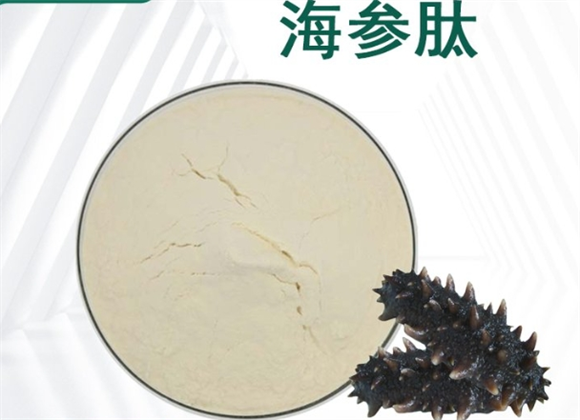 海参活性肽作用价钱是多少
