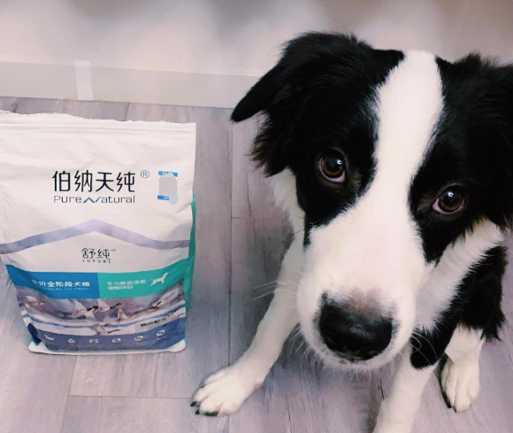 伯纳天纯狗粮好不好?伯纳天纯狗粮适合什么狗? 伯纳天纯狗粮好不好?伯纳天纯狗粮适合什么狗?