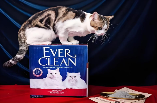 猫砂可不单只是个“掩埋物”，来看看猫砂的作用是什么！