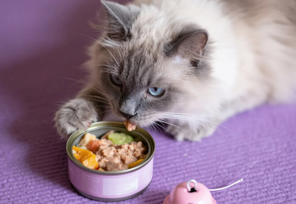 希喂猫罐头怎么样？希喂猫罐头好不好？铲屎官亲测：挑食怪都光盘！