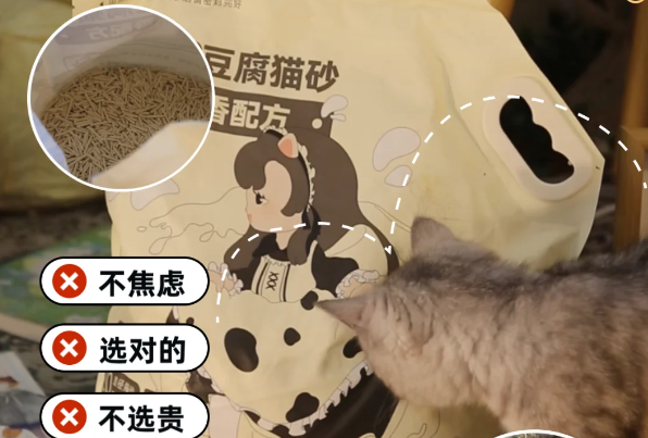 猫可丽猫砂是哪里产的