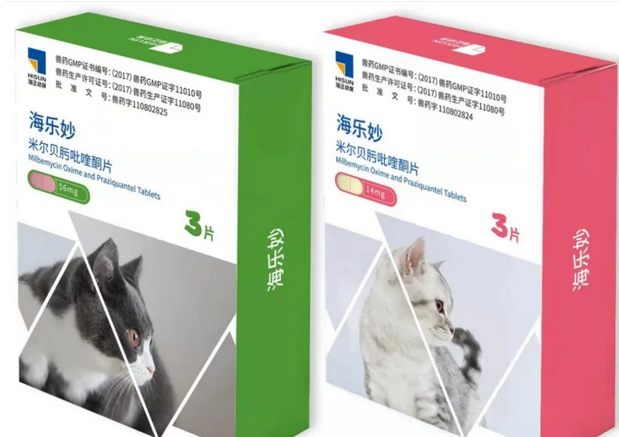 暴增11倍!这家公司宠物业务卖爆了 暴增11倍!这家公司宠物业务卖爆了