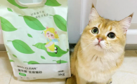 猫可丽猫砂哪款好