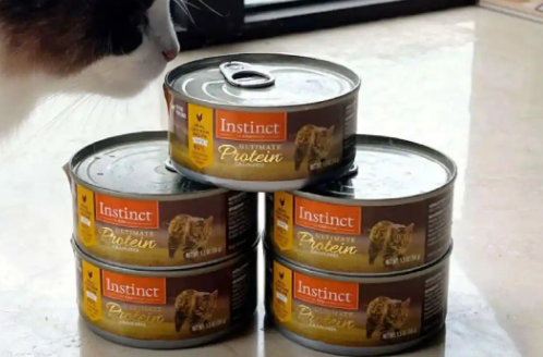 猫咪超爱的猫罐头品牌揭秘，快给毛孩子安排！