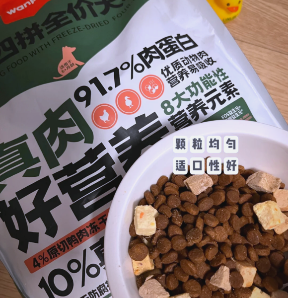 小型犬适合什么狗粮？4大小型犬狗粮品牌推荐给你