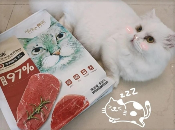 猫咪的冻干美食推荐：朗诺800克牛肉冻干