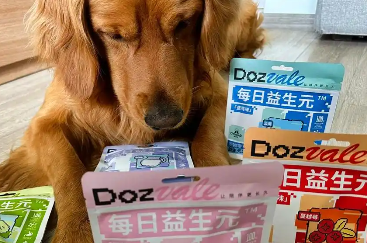 百岁宠宠物零食属于什么档次