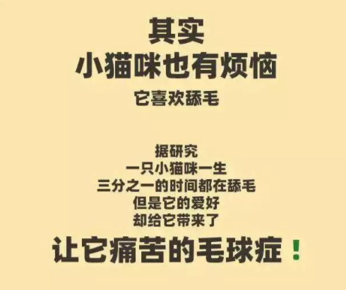 我自有山海：开启一场排毛棒的创新革命 