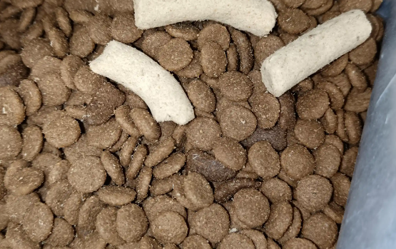 宠迈鑫狗粮和皇家狗粮哪个好 宠迈鑫狗粮和皇家狗粮哪个好