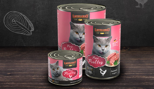 猫咪罐头哪个牌子好性价比高？这3款闭眼入不踩坑！