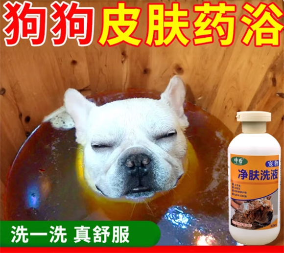 帅哲宠物沐浴露,毛发蓬松柔顺的秘密 帅哲宠物沐浴露,毛发蓬松柔顺的秘密