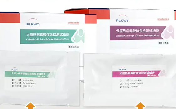 PLKWT犬瘟试纸:快速诊断犬瘟热的高效工具 PLKWT犬瘟试纸:快速诊断犬瘟热的高效工具